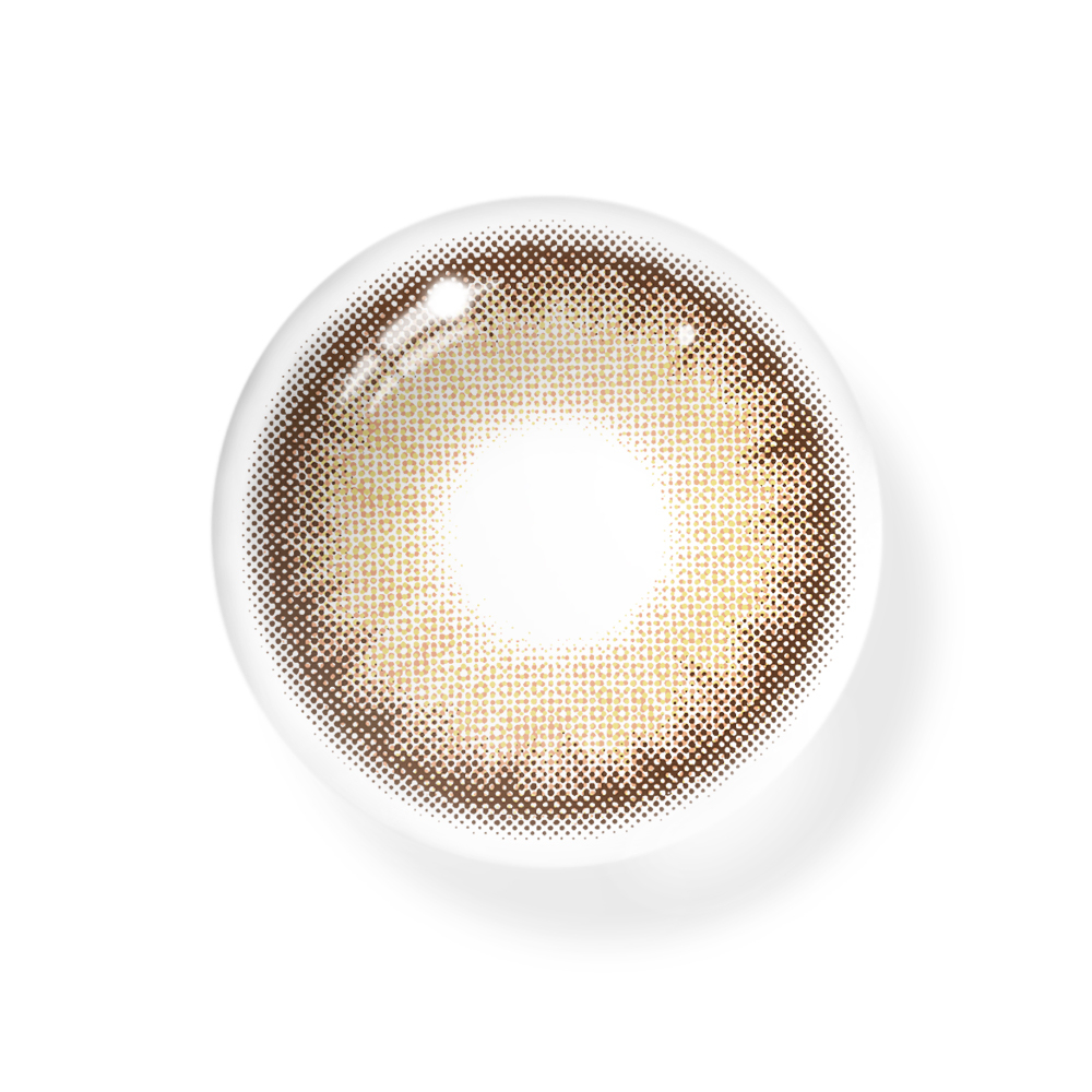 Astrape Brown Coloured Contact Lenses